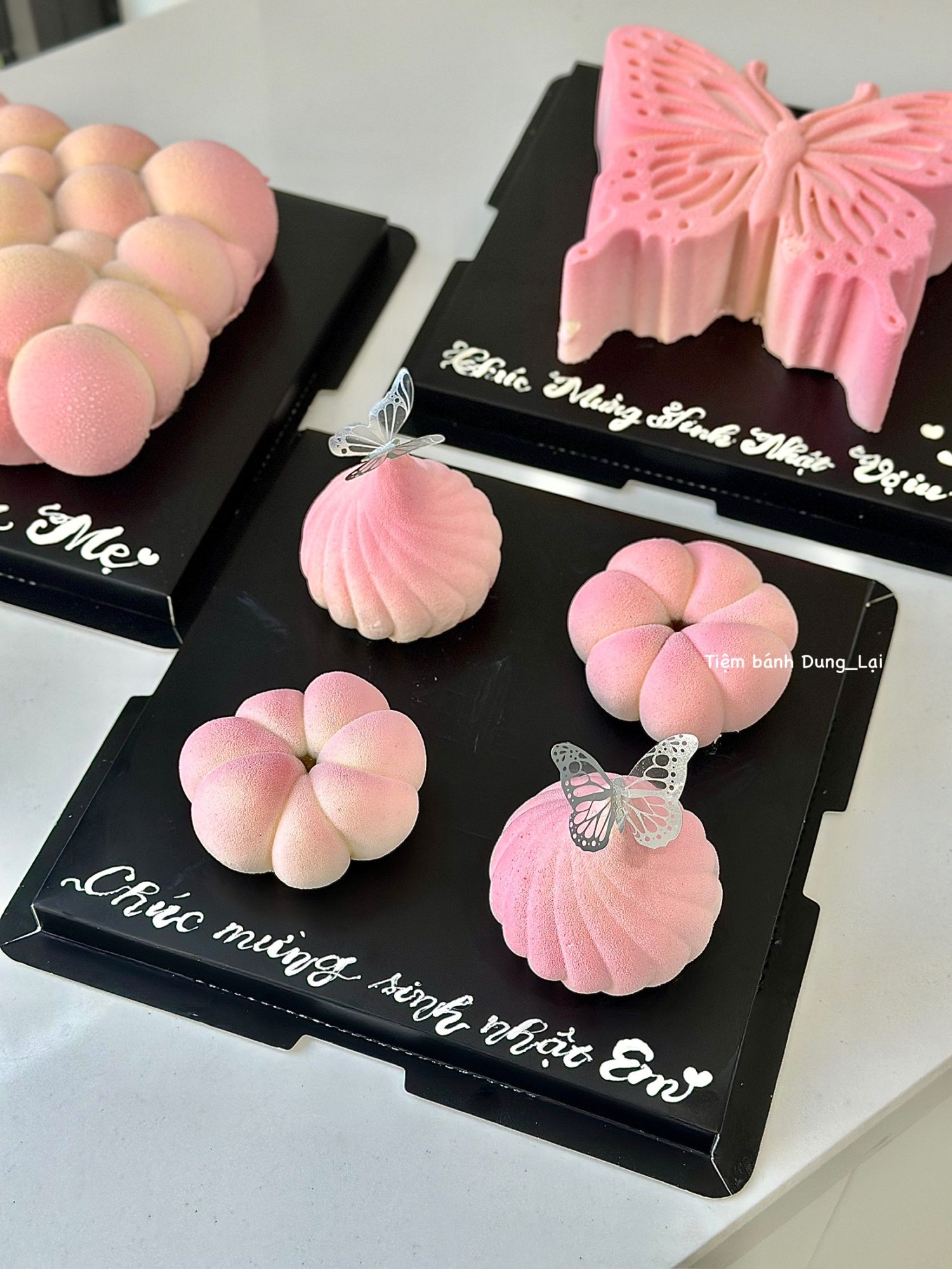 Set bánh entremet peptit