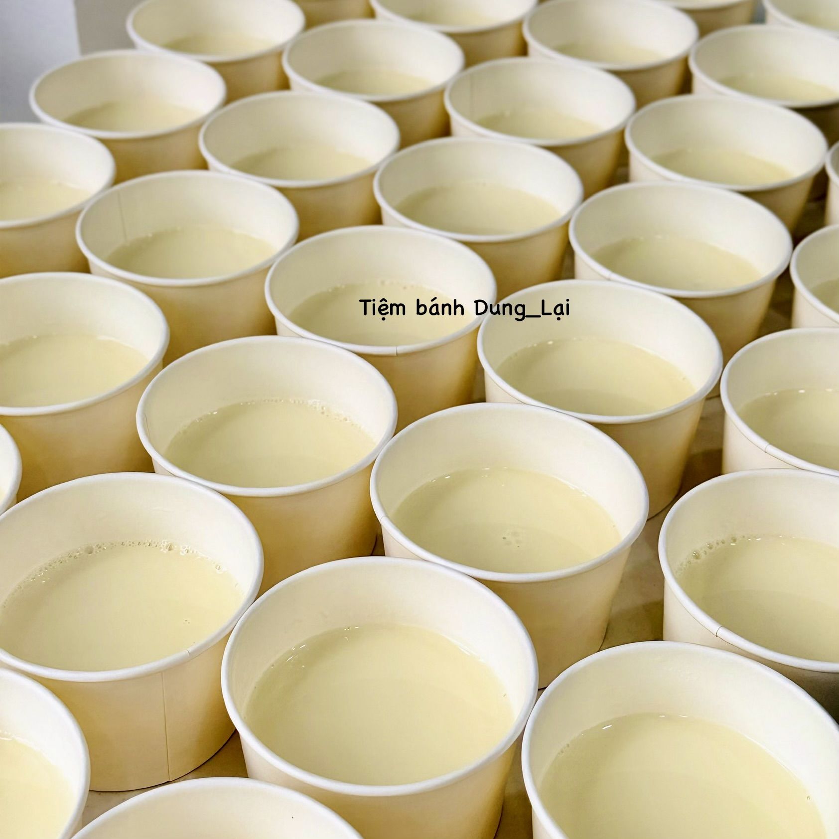 Daily-tàu hũ mộc