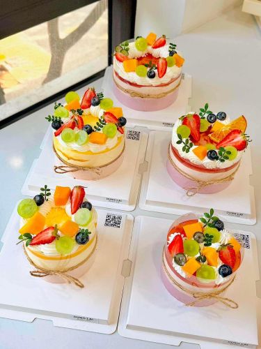 Bánh mousse sữa chua  việt quất chanh dây sz 10